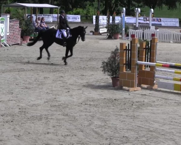Erkrath - Uhlenhof 2014