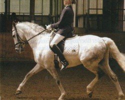 dressage horse Mickey my best friend (German Riding Pony, 1998, from Monte Verdi)