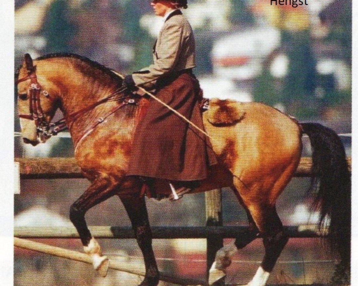 Pferd Picasso 684 (unbekannt, 1996, von Cravo)