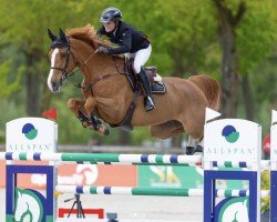 Caballo de salto Ubrisco (Holsteiner, 2015, de Uriko)