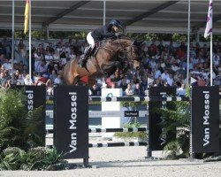 Springpferd C. Kulottie W Z (Zangersheide Reitpferd, 2015, von Comme il Faut)