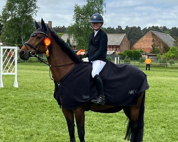 broodmare Aimee (German Sport Horse, 2006, from Acord II)