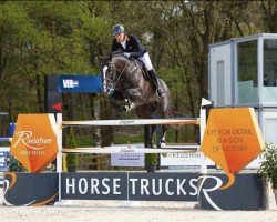 jumper Investment (KWPN (Royal Dutch Sporthorse), 2013, from Kannan)