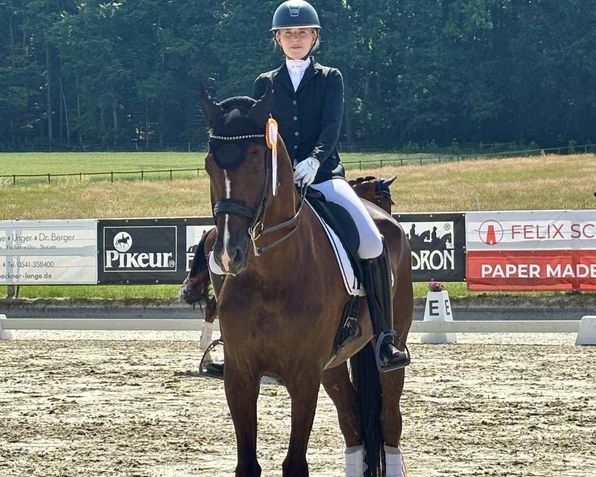 Dressurpferd Barneby 34 (Oldenburger, 2012, von Bretton Woods)