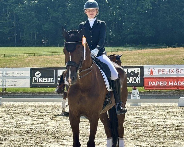 dressage horse Barneby 34 (Oldenburg, 2012, from Bretton Woods)