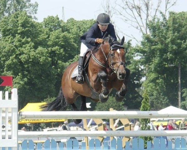 stallion Rabiatos Z (Polish Warmblood, 1995, from Rabiat Z)