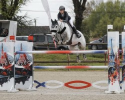 Springpferd Catch Me (Holsteiner, 2012, von Castelan 3)