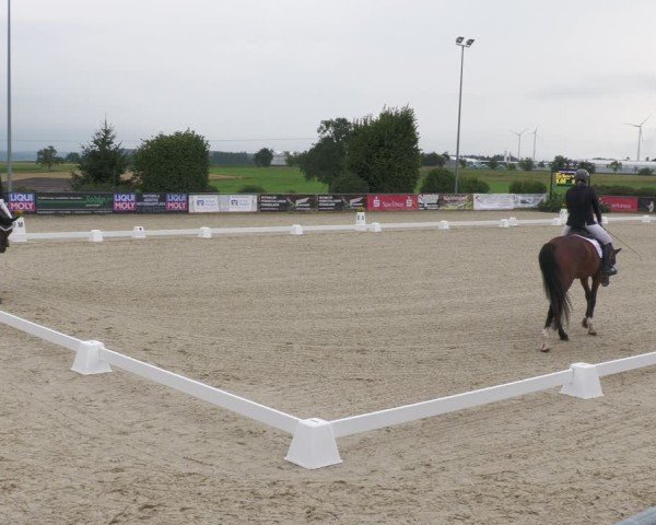Reitturnier Jagstzell 2025