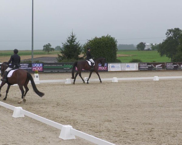 Reitturnier Jagstzell 2025