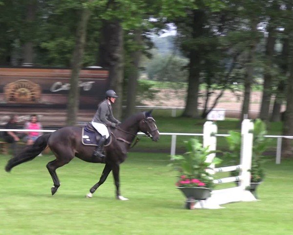 Reitturnier Zobbenitz 2025