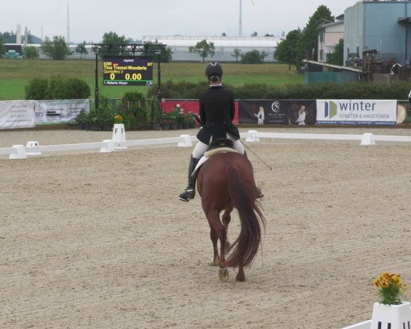 Reitturnier Jagstzell 2025