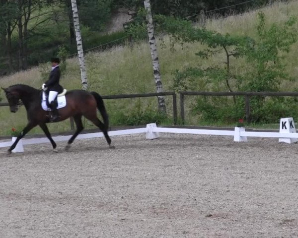 Erkrath - Uhlenhof 2014