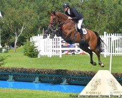 jumper Grennanstown Sarco Lux Hill (Irish Sport Horse, 2010, from Shannondale Sarco St Ghyvan)