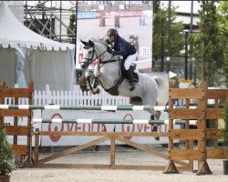 Deckhengst Kastar Hof Ten Zoetendaele (Belgisches Warmblut, 2010, von Der Senaat 111)