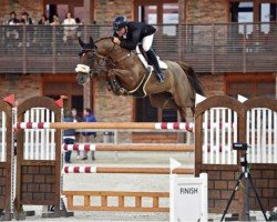 jumper Genesis Hb (KWPN (Royal Dutch Sporthorse), 2011, from Carrera VDL)