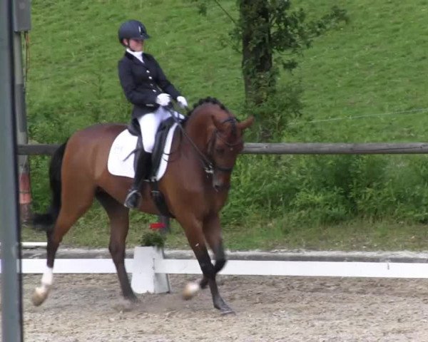 Erkrath - Uhlenhof 2014