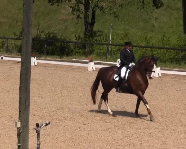 Erkrath - Uhlenhof 2014