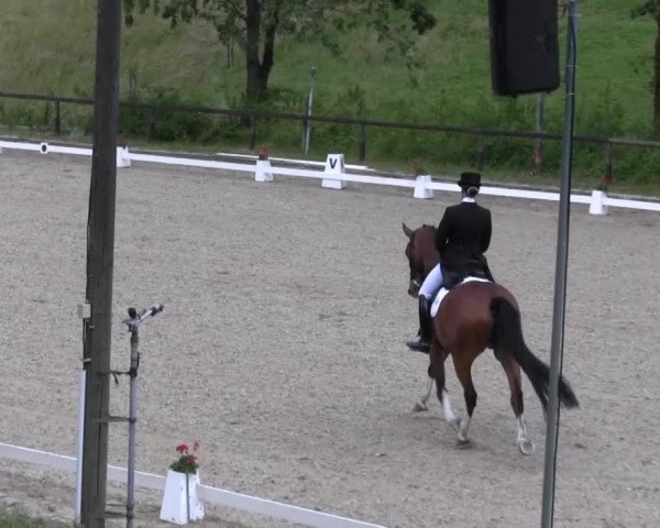 Erkrath - Uhlenhof 2014