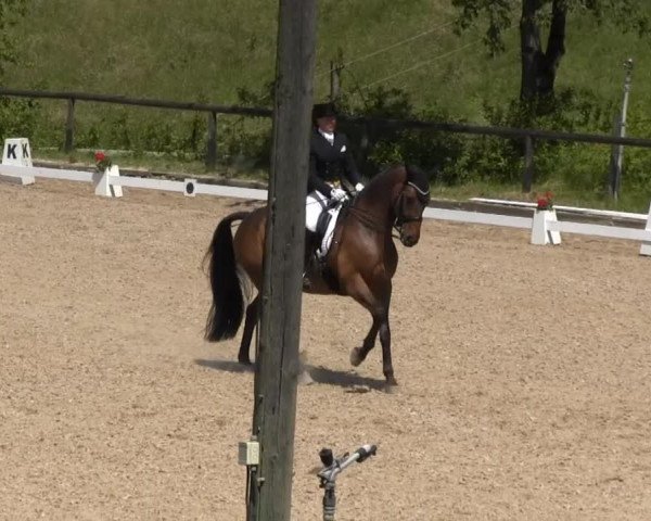 Erkrath - Uhlenhof 2014