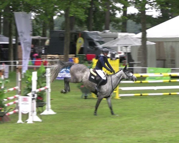 Reitturnier Zobbenitz 2025