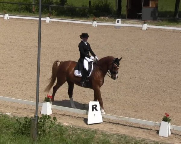 Erkrath - Uhlenhof 2014