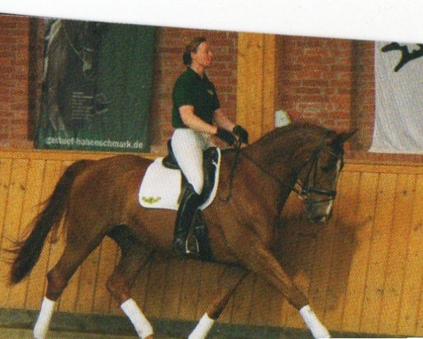 horse Weyrudo (Oldenburg, 1997, from Weyden)