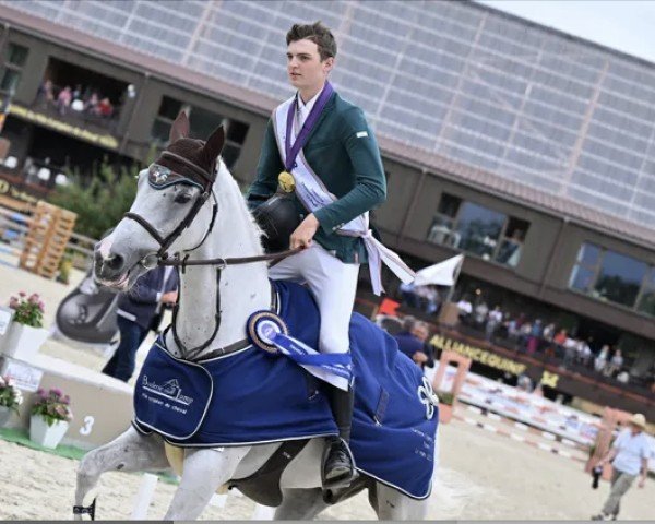Springpferd Mr Rocky Blue (Irish Sport Horse, 2016, von Chacoon Blue)