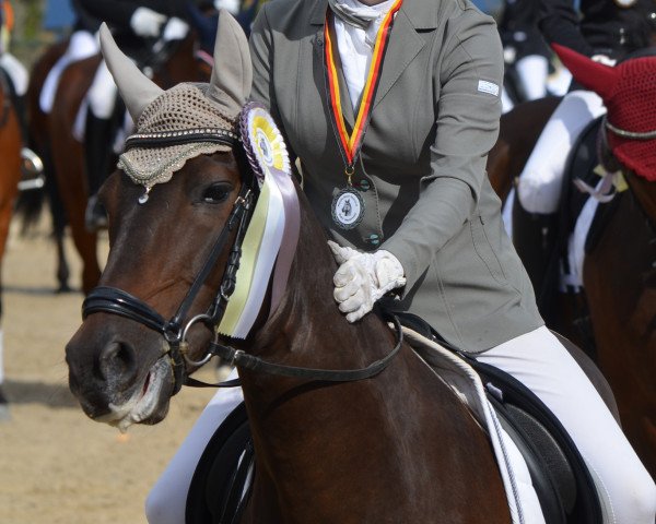 Dressurpferd Graziano 118 (Deutsches Reitpony, 2004)
