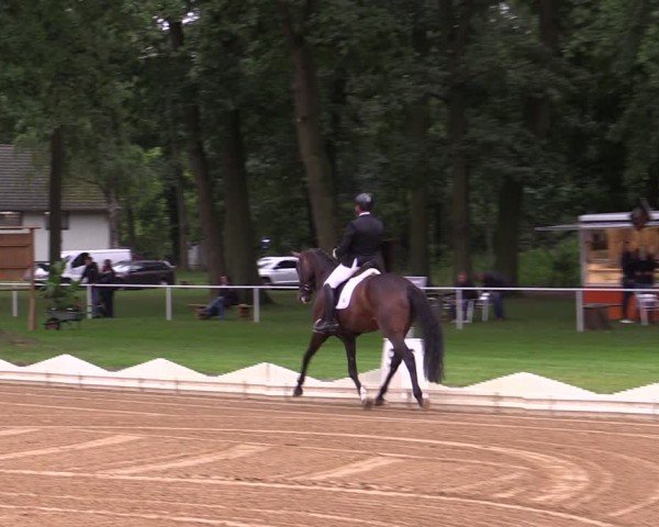 Reitturnier Zobbenitz 2025