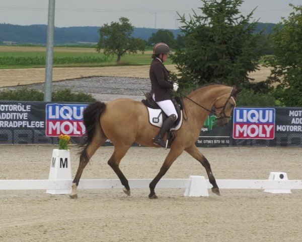 Reitturnier Jagstzell 2025