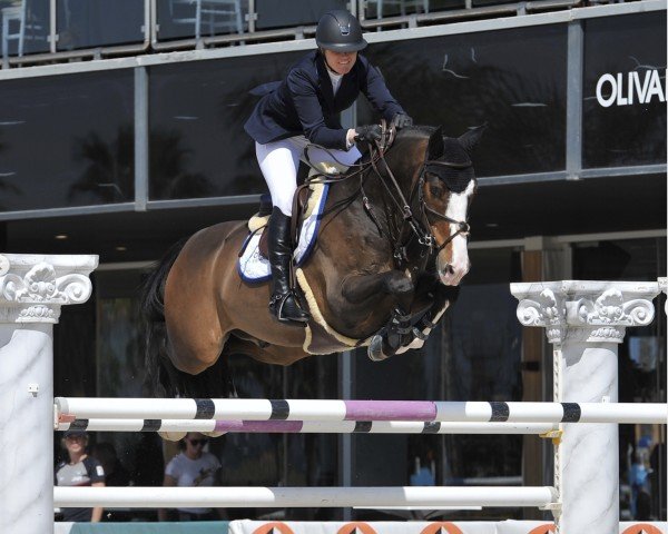 jumper Brandy (KWPN (Royal Dutch Sporthorse), 2009, from Ustinov 27)