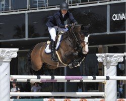 jumper Brandy (KWPN (Royal Dutch Sporthorse), 2009, from Ustinov 27)