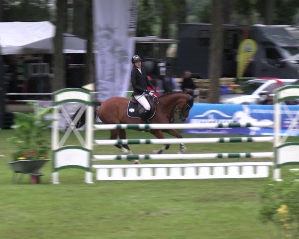 Reitturnier Zobbenitz 2025