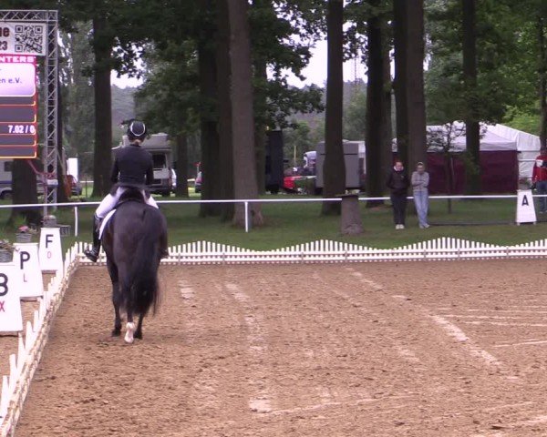 Reitturnier Zobbenitz 2025