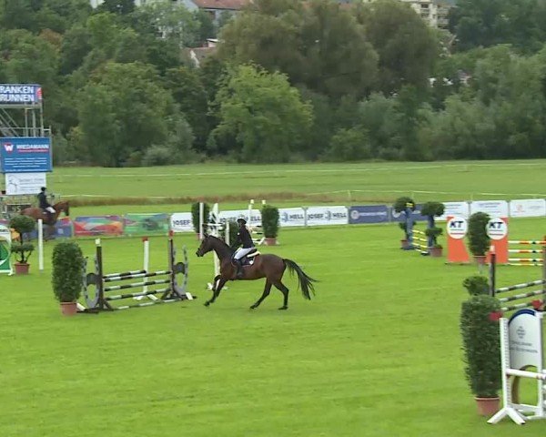 Reitturnier Bad Kissingen/Ufr. 2025