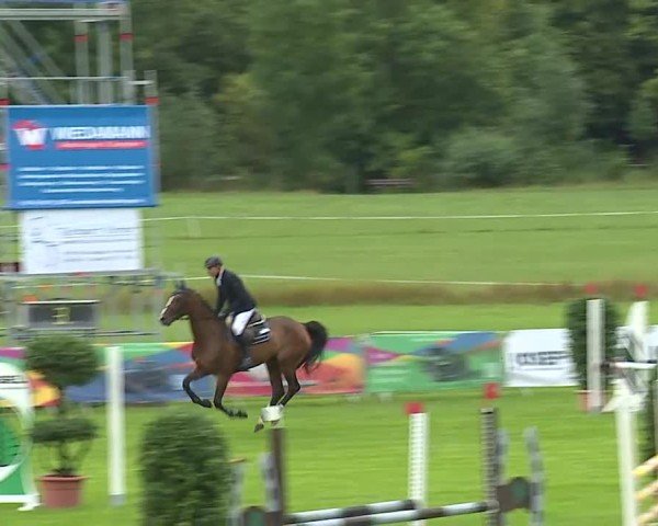 Reitturnier Bad Kissingen/Ufr. 2025