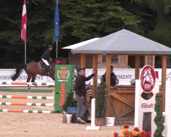 Reitturnier Ranshofen - Braunau am Inn 2025