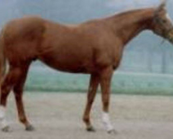 stallion Art Bleu xx (Thoroughbred, 1987, from Legend Of France xx)