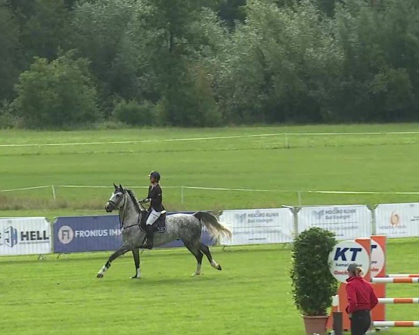 Reitturnier Bad Kissingen/Ufr. 2025