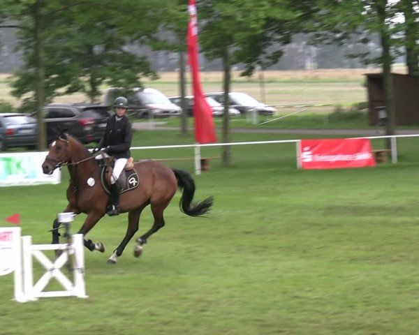 Reitturnier Zobbenitz 2025