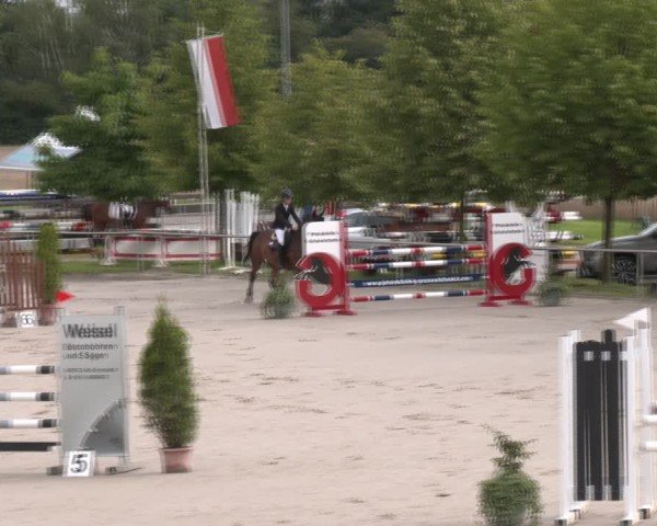 Reitturnier Groß-Zimmern 2025
