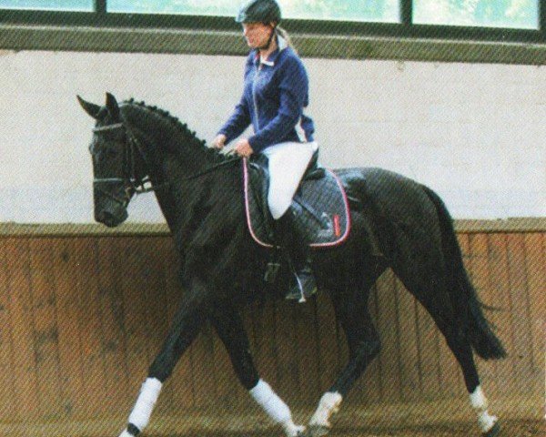 Dressurpferd Rohinih (Westfale, 2010, von Rohniro)