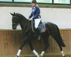 Dressurpferd Rohinih (Westfale, 2010, von Rohniro)