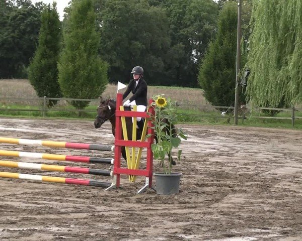Reitturnier Altlandsberg 2025