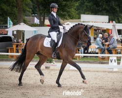 dressage horse Fillippo 5 (Rhinelander, 2020, from For Dance)