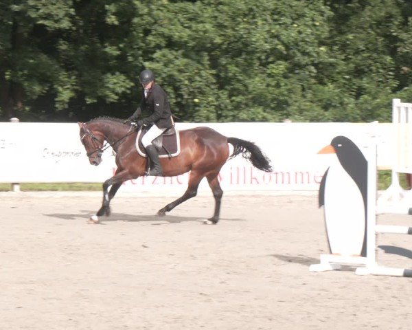Reitturnier Alvern 2025