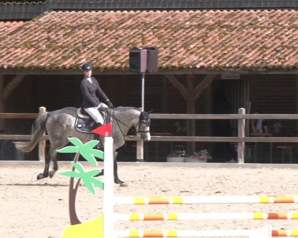 Reitturnier Alvern 2025