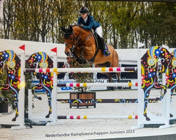 jumper Ithaca (KWPN (Royal Dutch Sporthorse), 2013, from Canabis Z)