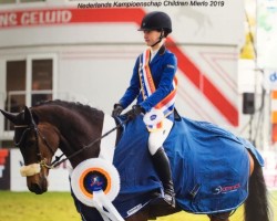 jumper Ferrand Hbc (KWPN (Royal Dutch Sporthorse), 2010, from Veneur)