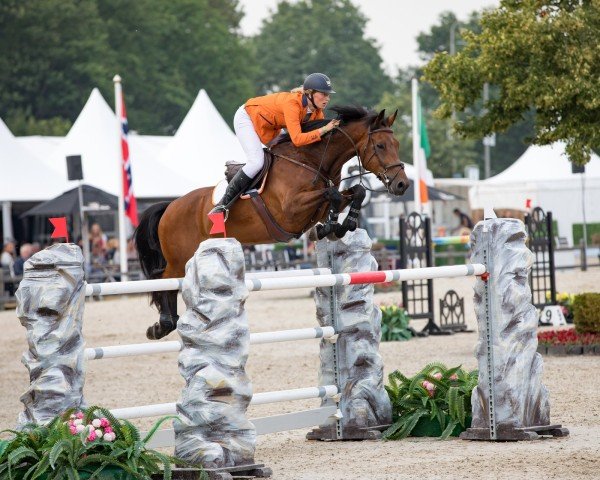 jumper Entrepreneur (KWPN (Royal Dutch Sporthorse), 2009, from Clinton)